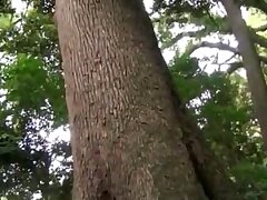 CXR-13 Passionate Japanese Student Takes Charge in Steamy Classroom Encounter