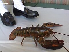 hiyori1-1-3full Kyoko's Steamy Night Unleashing Her Passionate Sex Fantasies