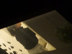 15312680 Wild Night Hairy Pussy Thrills with Dildo Toy Passion