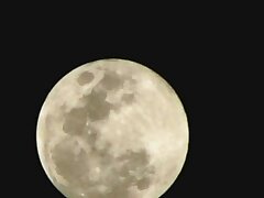 GEXP36_02 Seductive Japanese Cutie Bounces Playfully on His Firm Manhood