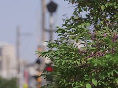 IPX-888 Sizzling Night Hot Babe's Intense Finger Play Leads to Wild Sex Orgy